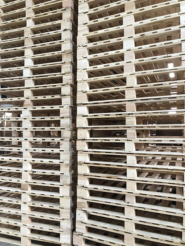 Pallet gỗ thông 4 hướng nâng